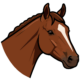 Lezioni di equitazione flag