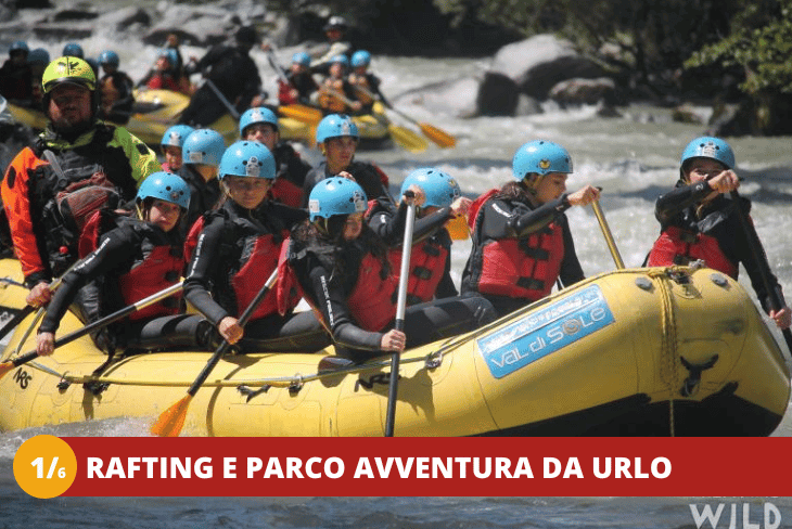 16 Trentino Wild