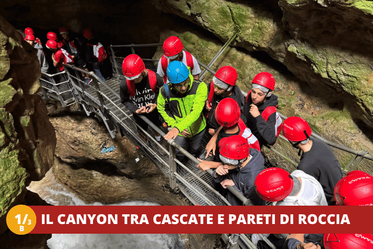 1_3B Trentino Wild - SETTIMANALE