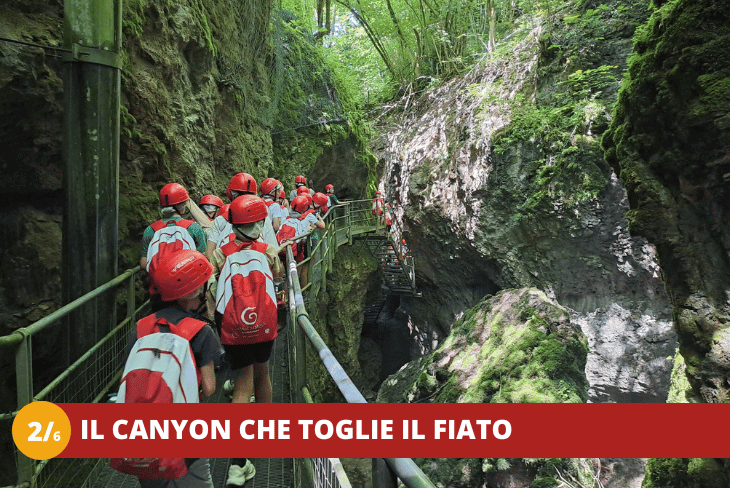 26 Trentino Wild