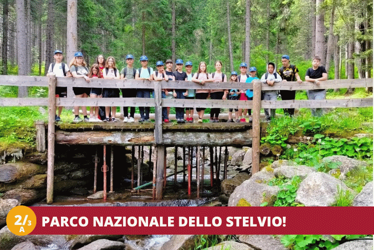 2_3A Trentino Wild - SETTIMANALE