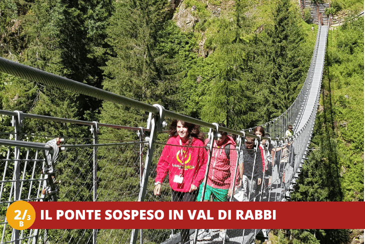 2_3B Trentino Wild - SETTIMANALE