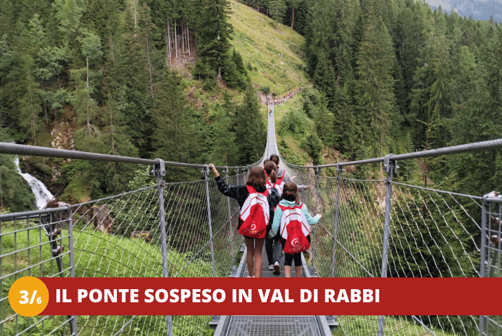 3_6 Trentino Wild