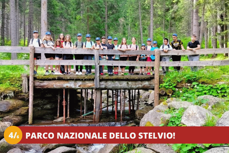 46 Trentino Wild
