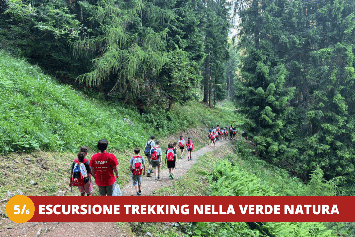 56 Trentino Wild