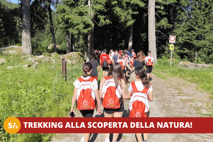 5_5 TRENTINO – MARILLEVA – LA REGINA DELLE ALPI