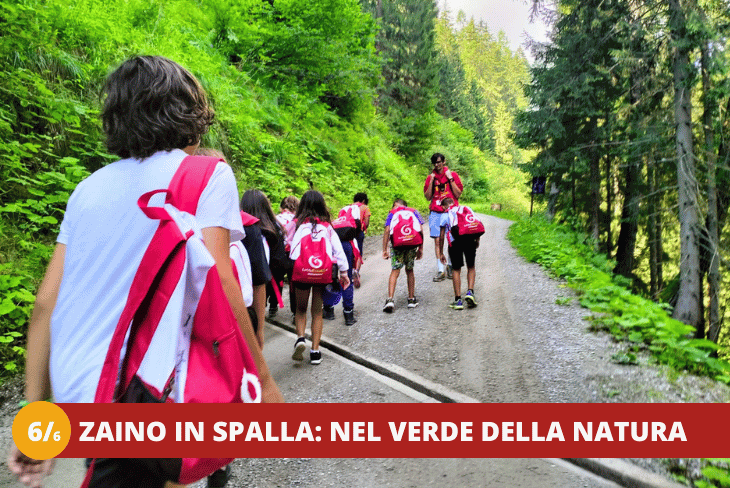 66 Trentino Wild