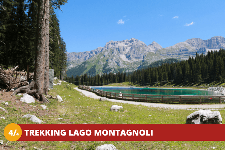 4_4 TRENTINO - MADONNA DI CAMPIGLIO - TREKKING E NATURA