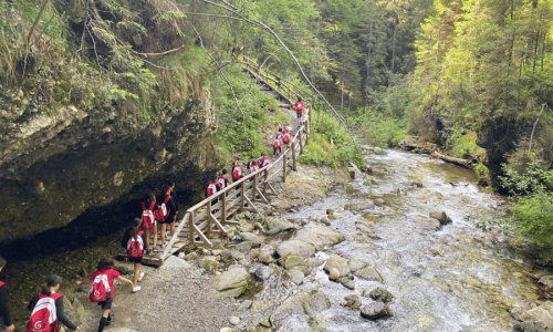 Trentino Explorer (7)